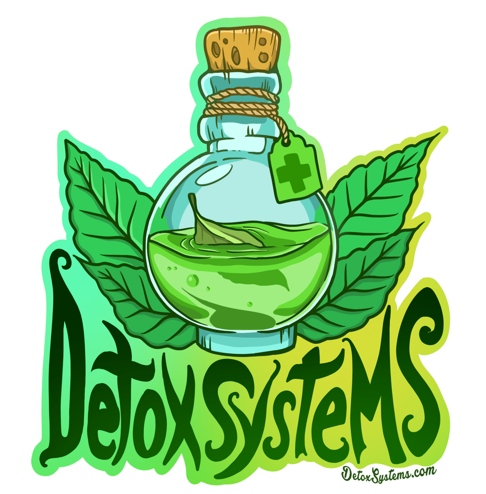 detoxsystems domain logo