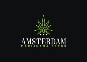 amsterdammarijuanaseeds.net