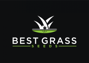 bestgrassseeds.com