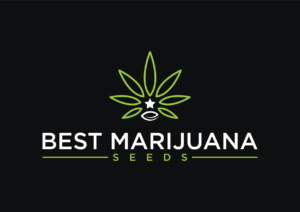 bestmarijuanaseeds.com