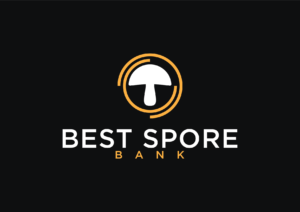 bestsporebank.com
