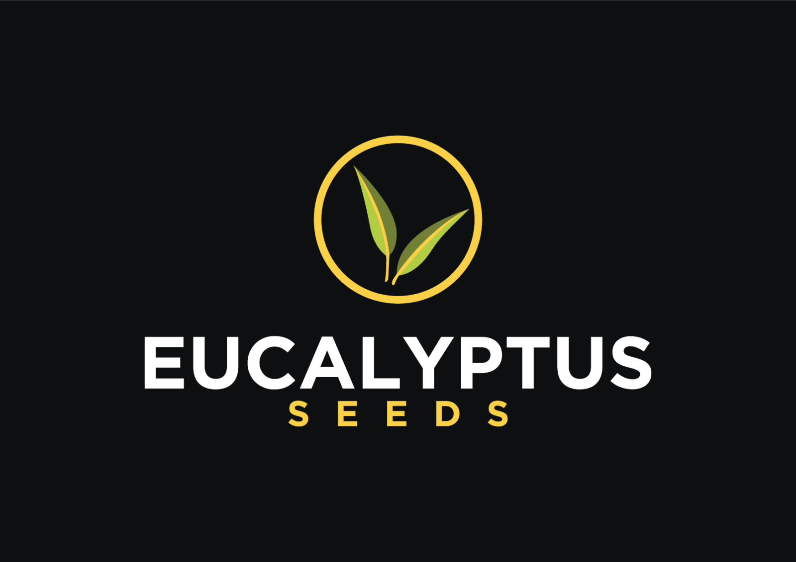 eucalyptusseeds.com