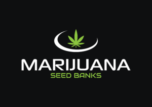 marijuanaseedbanks.ca