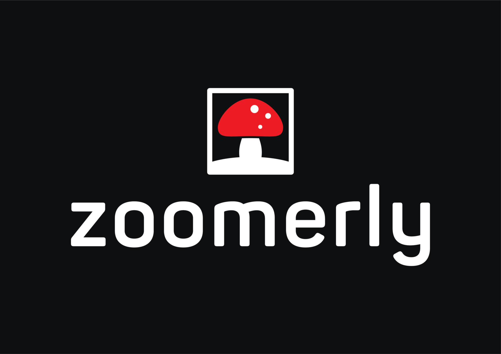 zoomerly.com