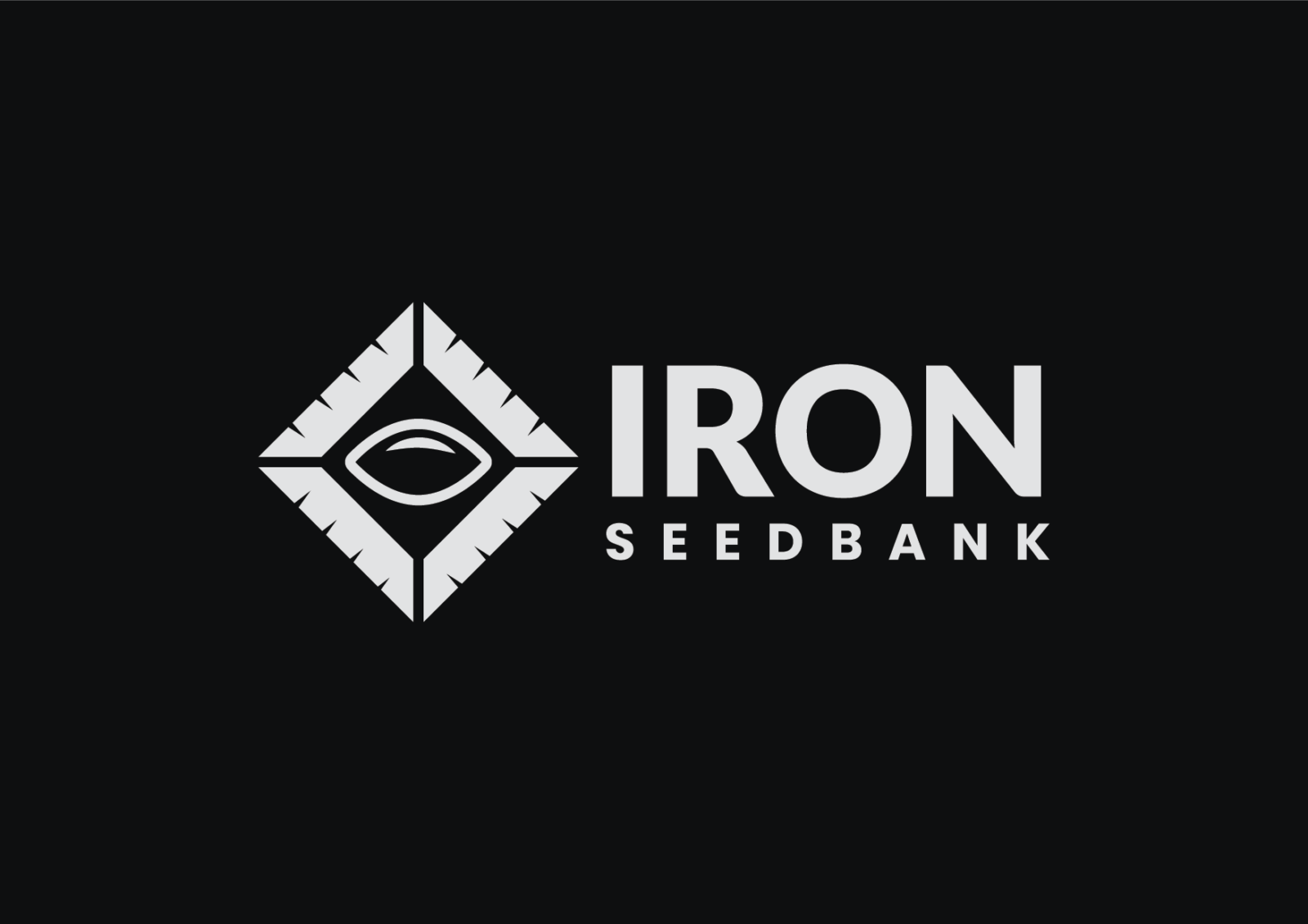 ironseedbank.com