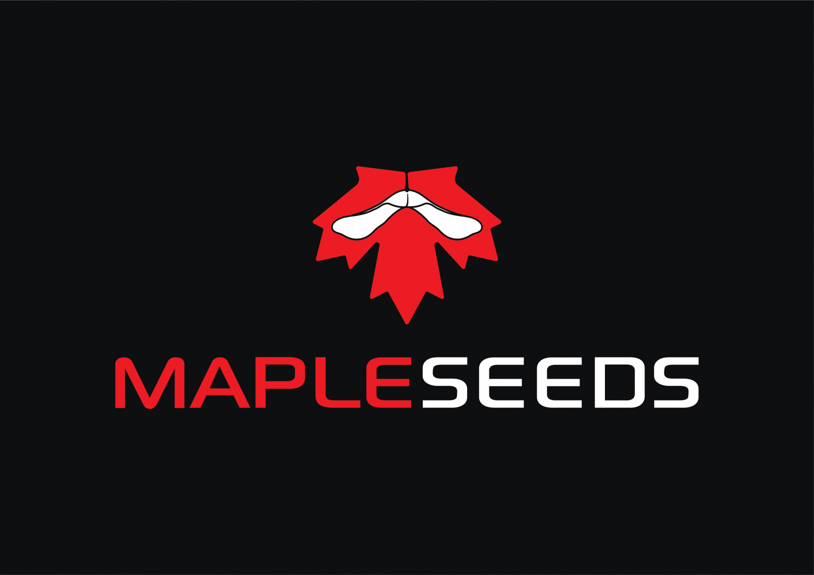 mapleseeds.ca