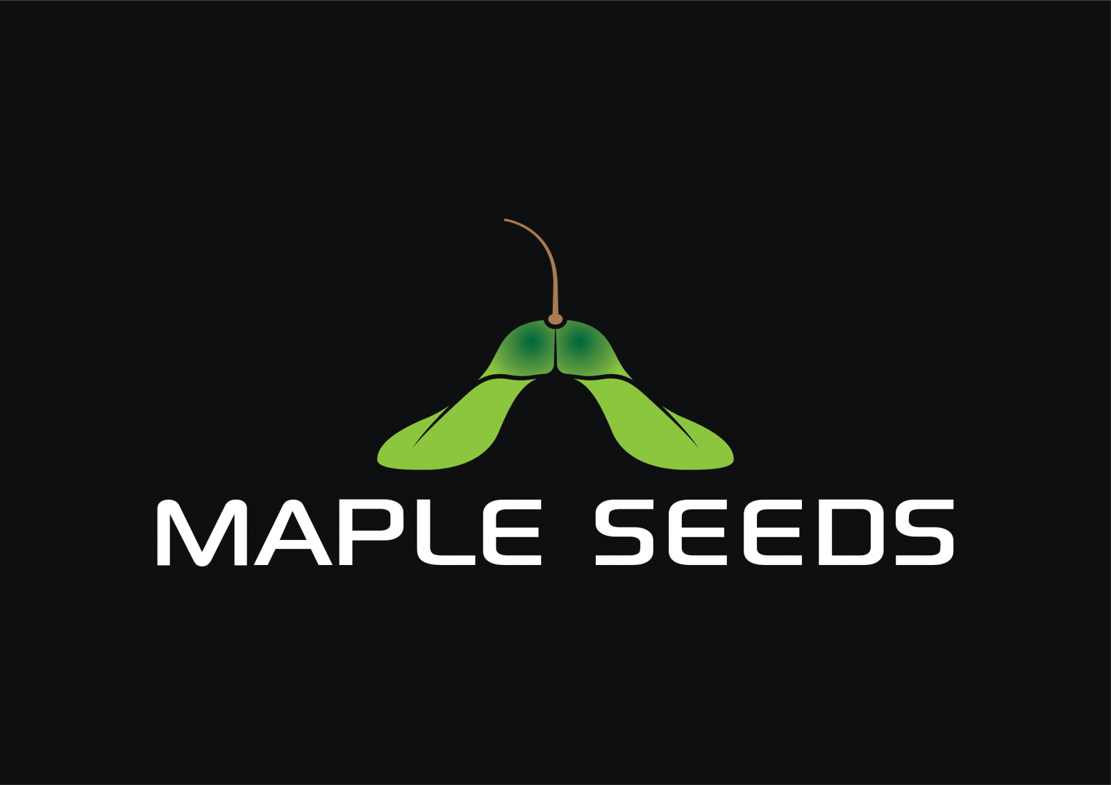 mapleseeds.com