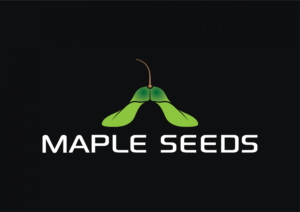 mapleseeds.com