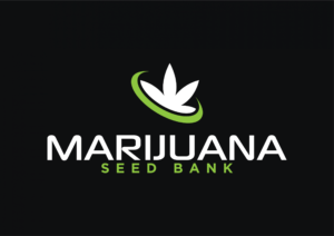 marijuanaseedbank.org