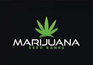 marijuanaseedbanks.net