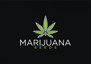 marijuanaseeds.net