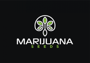 marijuanaseeds.ws