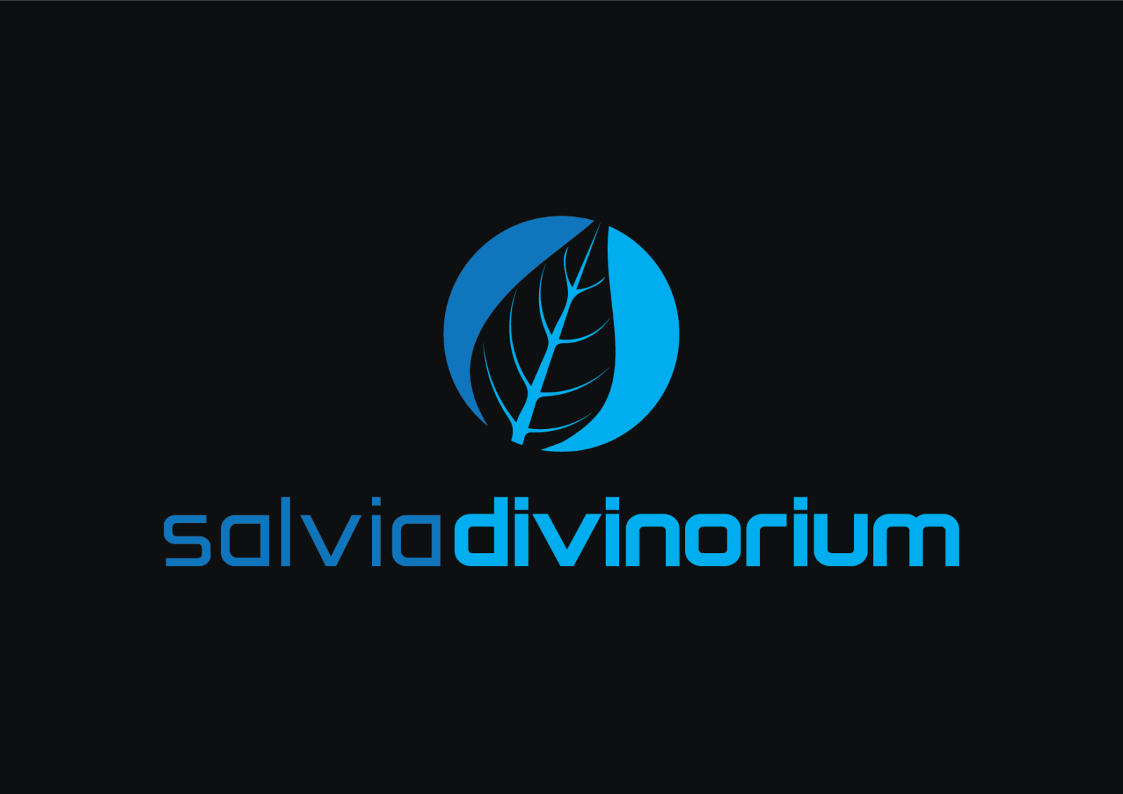 salviadivinorium.com