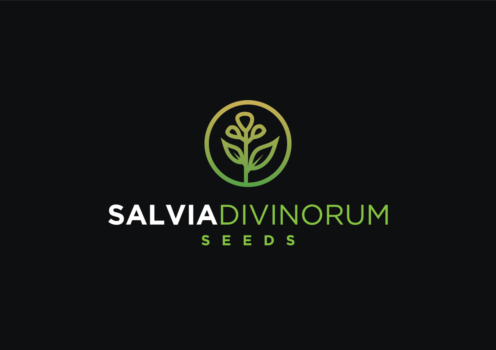 salviadivinorumseeds.com