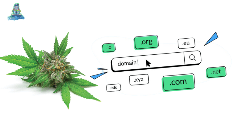 What Should You Consider Before Purchasing a CBD Domain Name
