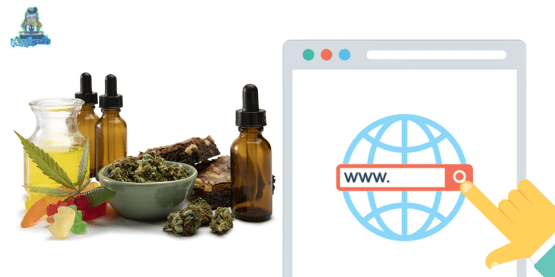 Why Should You Choose Your CBD Domain Name Carefully