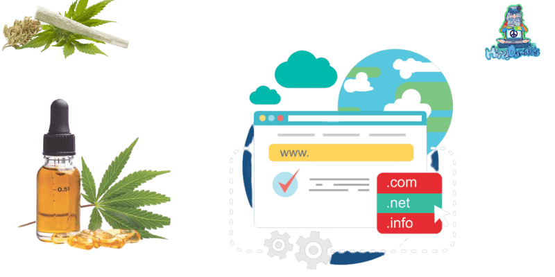 Your Guide to Purchasing the Right CBD Domain Name