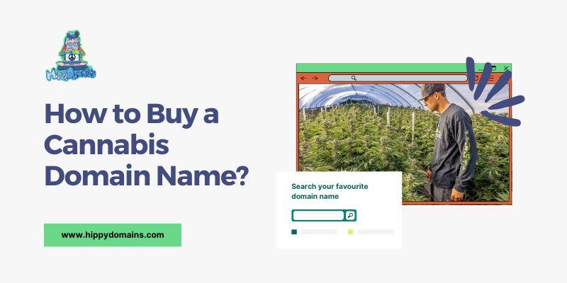 How to Buy a Cannabis Domain Name