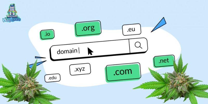 Buying Cannabis Domain Names