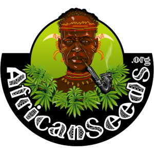 africain seeds org